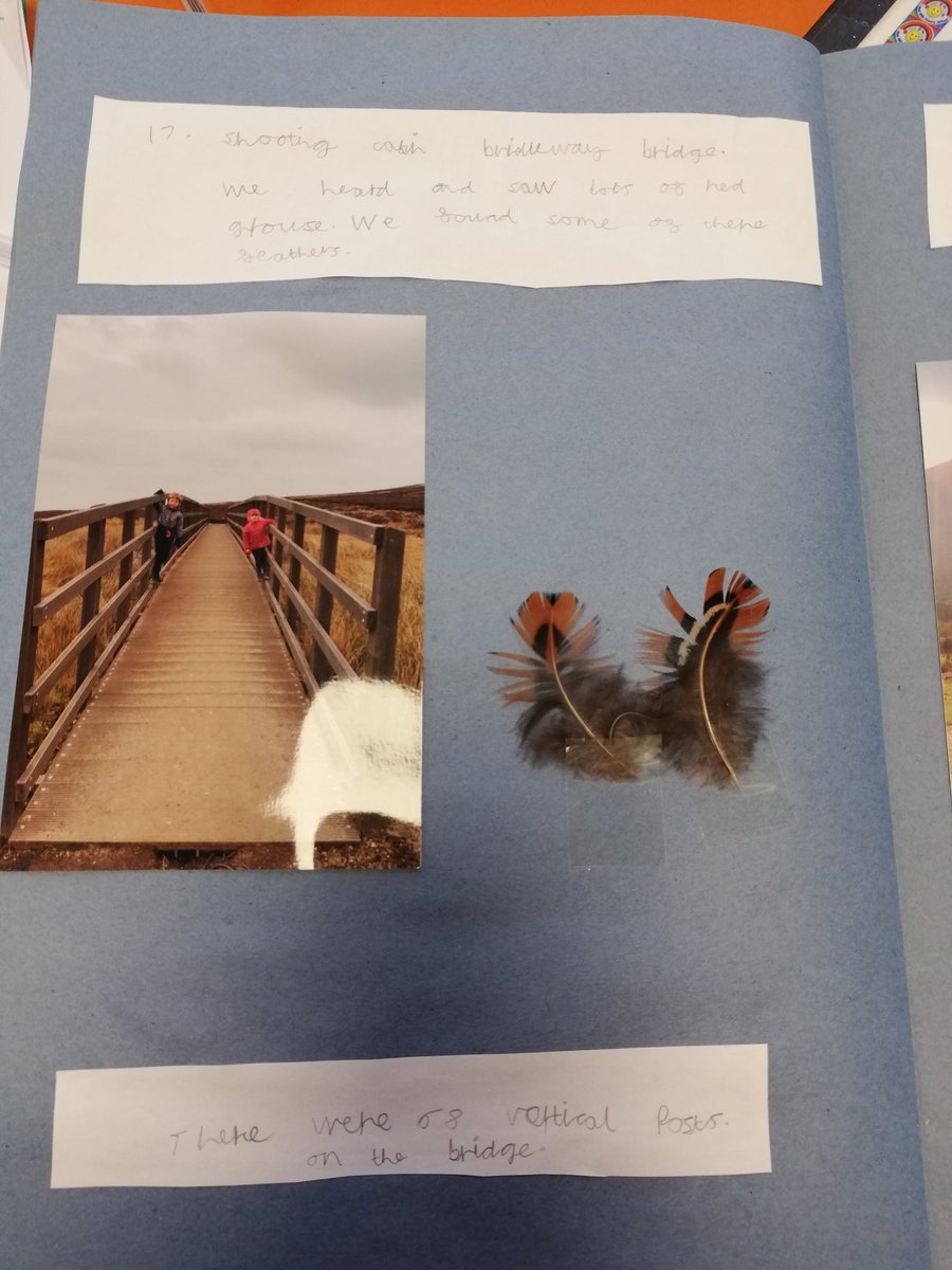 New Mills Primary School tweet media