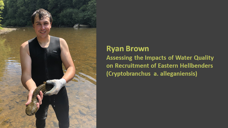 OHIOartsandsci's tweet image. Eight biology students win @ohiou Student Enhancement Awards for research -- Ryan Brown, Tyler Goerge, Mahima Sanyal, Courtney Silver-Peavey, Emily Watts, Shiyu Yuan, Nicole Hess, and Jackson Krejsa. ohio-forum.com/?p=80491