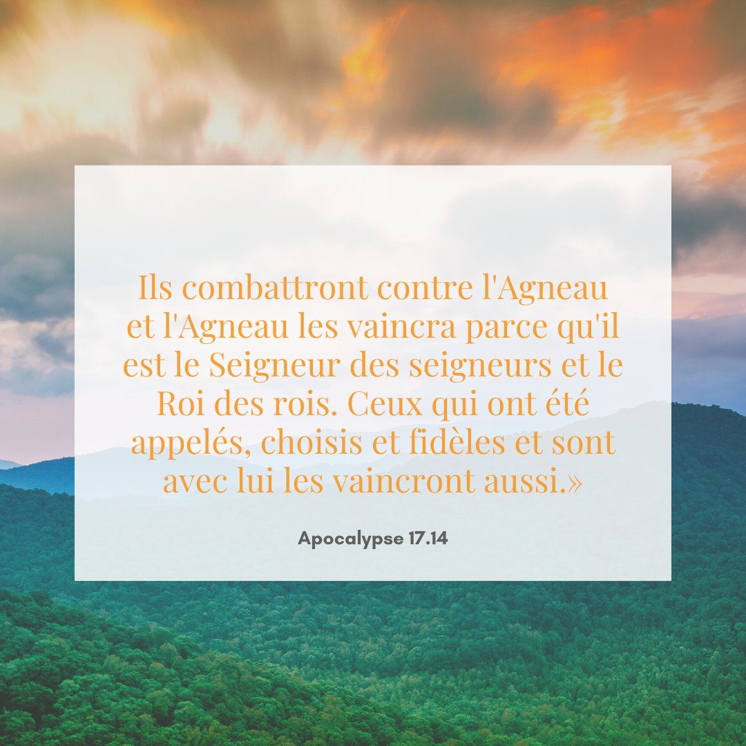 la_Bible tweet picture