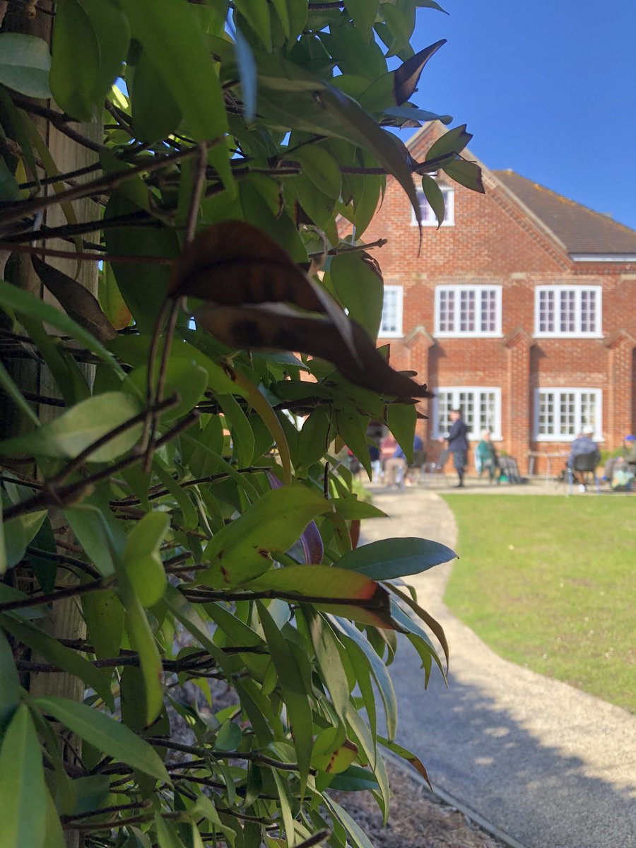 ShftChaplains's tweet photo. Lovely to enjoy the #TreeOfLifeCafe in the sunny garden of the Wisdom Centre today! #coffee #connection #calm https://t.co/9SohyyE1i0