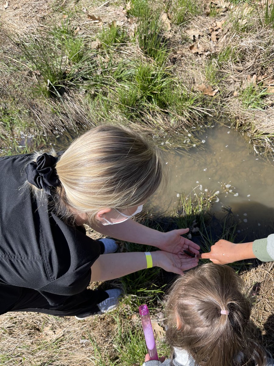 vanessawalkermu's tweet photo. We’ve been keeping track of these guys for weeks in our stream and look what we caught today!!! The kids were so excited! We released him back gently and enjoyed watching him swim away. @rhandrewselem https://t.co/s3PRsiZgSb