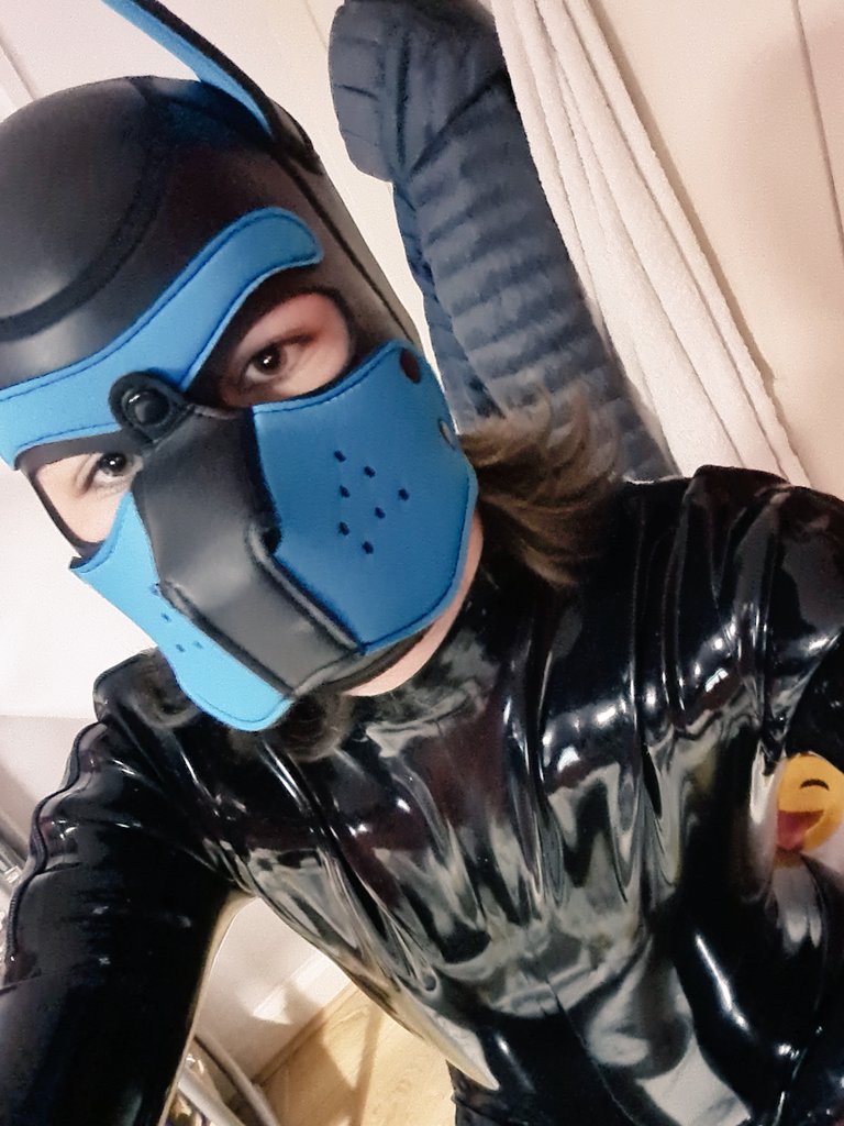 RBBRFroFro's tweet photo. Enjoy some rubber puppy https://t.co/OJOm751odu