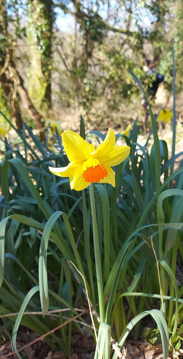 Dami30's tweet image. 