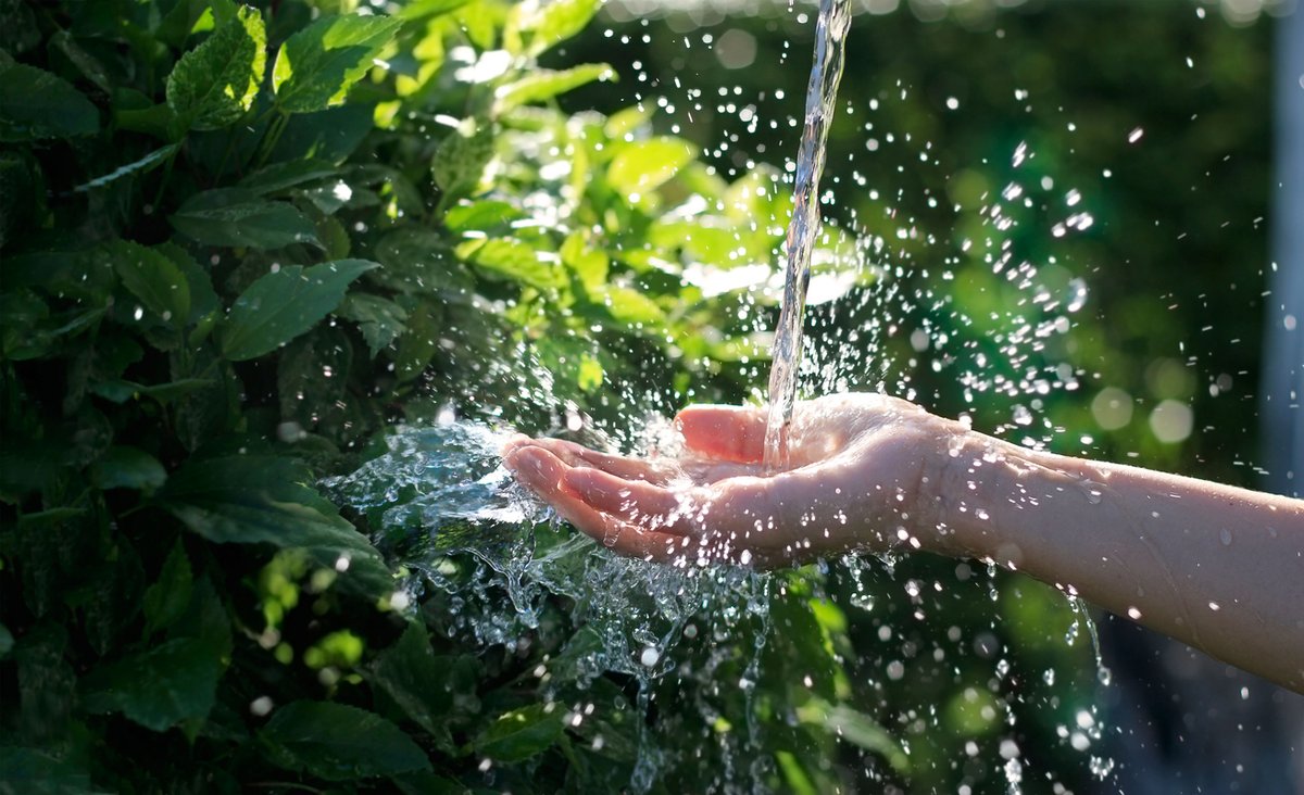 DependableClean's tweet photo. You’re In Green Hands With US! We’re committed to the highest quality of clean while also being environmentally safe. Our practices are & always will be...
🌱Eco-friendly
🌱Bio-degradable
🌱Recylcable
#greendrycleaning #drycleaning #environmentallysafe
https://t.co/OmFsdEABc8 https://t.co/QBJzBZ6NmX