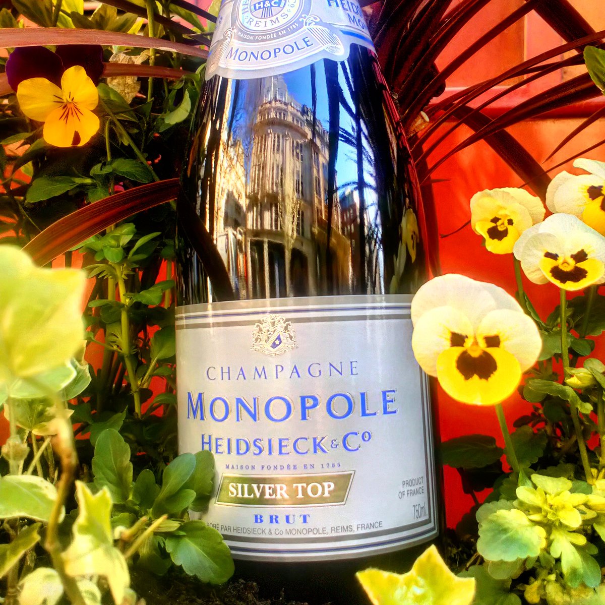 🎉 FLASH DEAL 25%OFF CHAMPAGNE 🎉
CHAMPAGNE HEIDSIECK MONOPOLE SILVER TOP
#flashdeal #flashsale #lastdays #champagne #monopole #monopolesilvertop #champagneheidsieckmonopole #classy #quality #champagnelife #superdeal #spiritedwines #happymonday #sunny #finallysunisout #springtime