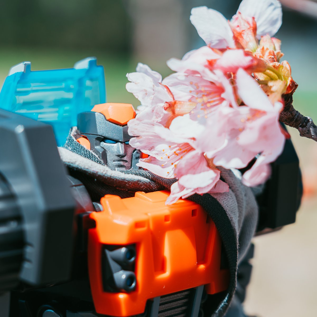 MagnusLabel's tweet photo. 【#RollerIsARollingStone #RollerRevelationOne】
The #CherryBlossom season.
#MagnusLabel #變形金剛 #Transformers #トランスフォーマー #滾族 #Roller #ローラー #MastermindCreations #MMC #Cylindrus #toy #toys #photography #Hypebot #PoisonAF
#斯比頓唱片 #CybertronRecords #CRRO0001 https://t.co/n4c3u60yUX