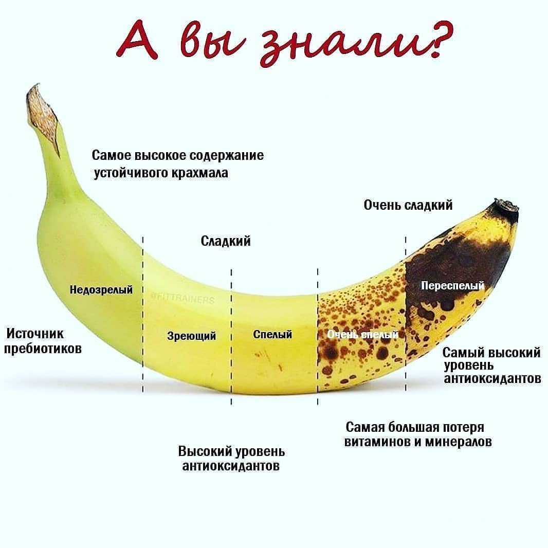 Тамара (@Solisterra) | Twitter