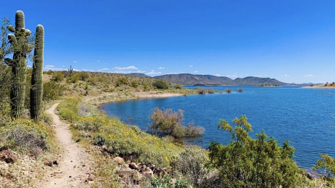 AravaipaRunning's tweet photo. Enjoy this dam fine trail alongside this dam fine lake at Dam Good Run on Sunday, April 11th!
We have a few spots left...snag one before they swim 🏊♂️ away!
#damgoodrun
https://t.co/aUIWqtAprg
📸 @ndougherty313 https://t.co/fcD3S1uDCy