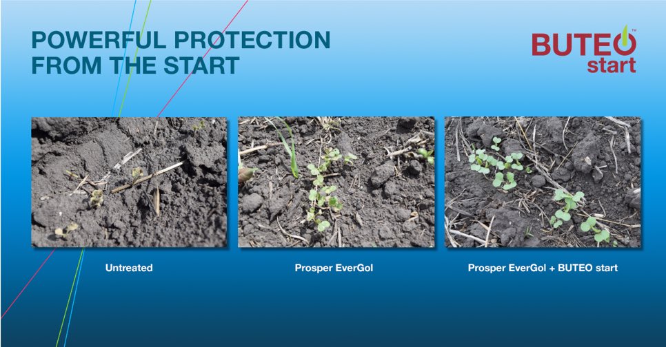 Cannot wait for field season to start this spring. Get your <a href="/DEKALB_Canada/">DEKALB Canada</a> <a href="/Bayer4CropsCA/">Crop Science Canada</a> canola off to a great start with #buteostart. #askseedgrowth 🌱