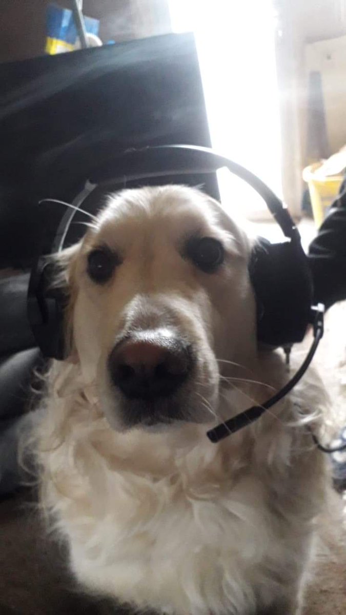 EfanFN's tweet photo. Me and Azzy are looking for a trio as a duo he's a cracked controller player that plays claw (or should i say paw haha ) #fortnite #epicgames #fortnitecompetitive #FortniteSeason6 https://t.co/A9SgqV0ede
