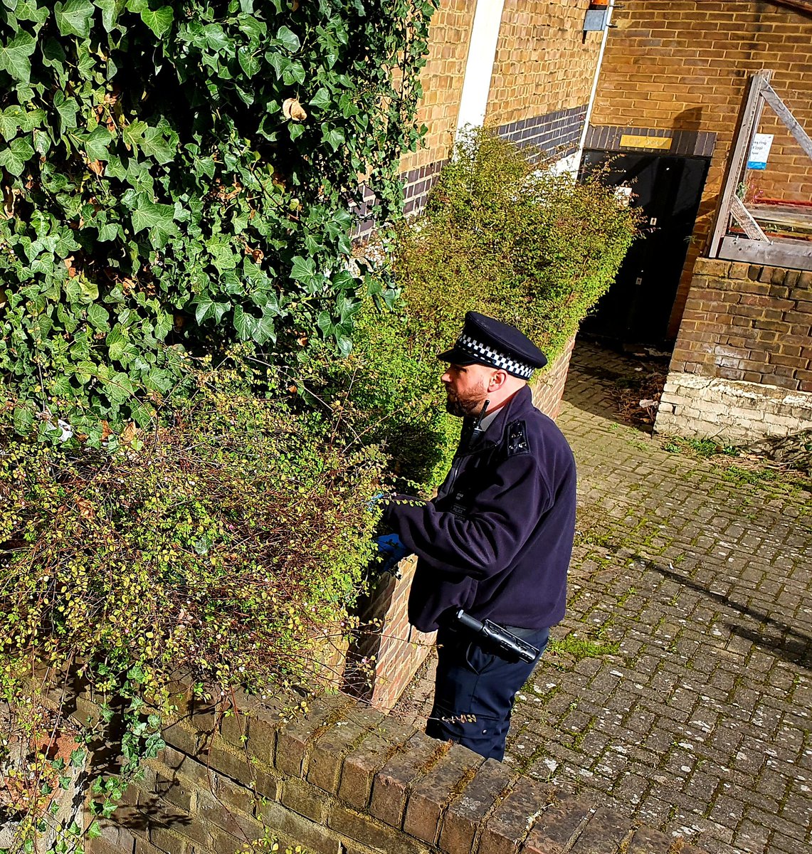 MPSBoroughBank's tweet photo. #WeaponsSweep today #GatehouseSquare @se1. No weapons found, but we did find a little stash of #cannabis in the undergrowth. If anyone wishes to try and claim it, we're happy to talk to you... https://t.co/sl4r1l5cSr