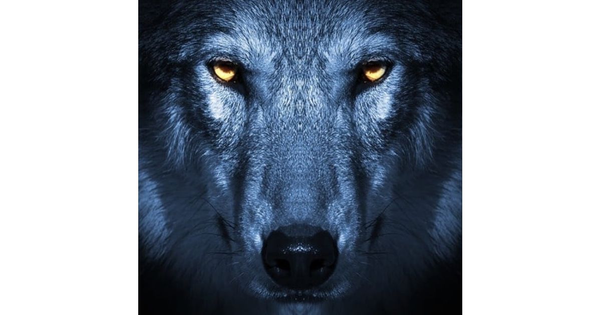 PRACTICE 4/1!!! - We're BAAACCCKKK!
pitchero.com/clubs/milwauke…