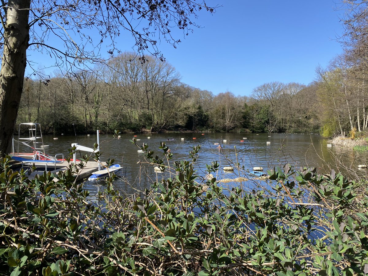 Lizzie Gillett tweet media