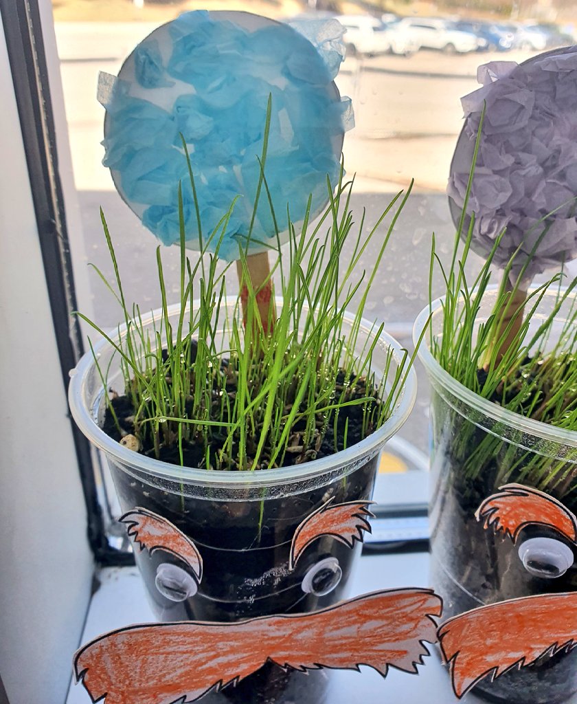 GrowingMinds105's tweet photo. Over the weekend our seeds sprout into grass https://t.co/Fg6uJS9JQ8