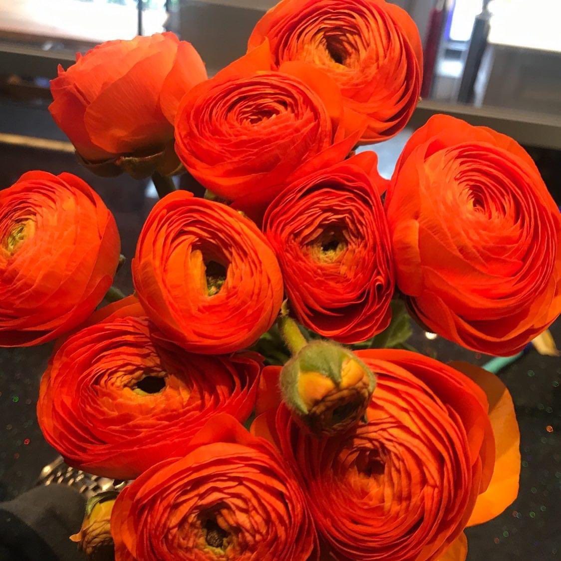 FlowerStyleMcr's tweet photo. How fabulous are these #ranunculus has to be one of our favourite #springflowers what better colour for such a gorgeous day in the city #spreadthelove #bringinthespring #orangeflowers #floristmanchester #manchesterflorist #flowerdelivery #notlongtogo #april12th https://t.co/88cxrsqzXe