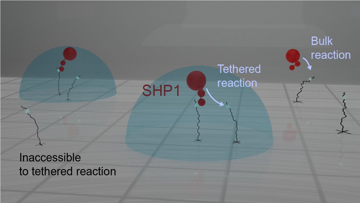 allardlab tweet media