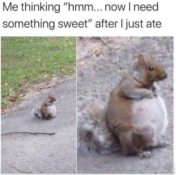 Men's Humor tweet media