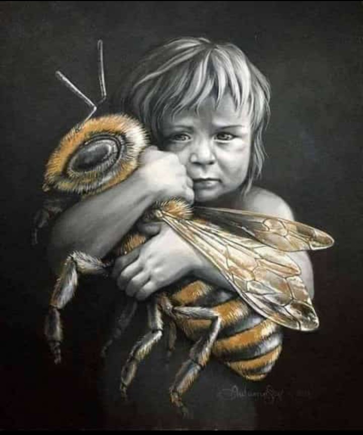 Honey bee 🐝 life matters