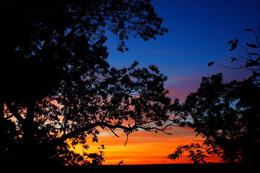AmericanMensa's tweet photo. During a hiking trip through the Starved Rock State Park area in Illinois, Alan Frohlichstein was rewarded with this sunset that reminded him of a stained piece by Louis Comfort Tiffany.
@MensaBulletin #OpeningShots https://t.co/0RPBv4pe3m