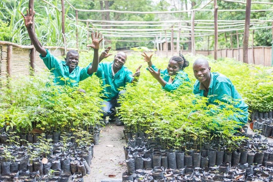 MalawiTravel's tweet photo. #RootToFruit is a carbon offsetting scheme helping reforest #Malawi & ensuring local communities benefit from the trees & learn about the environment.🌱🌍
#OnMyWishlist #ResponsibleTourism #MalawiDreaming #SouthBoundTravelGroup #WhyTourismMatters #ResponsibleTravel
📸@CAWSMW https://t.co/vzd0BzPW2Q
