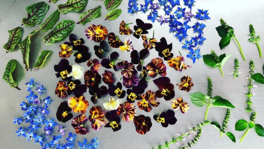 Freight Farms tweet media