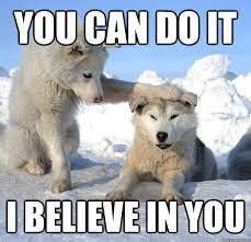 SigVetSvc's tweet photo. It's Monday! You can do it! #motivationmonday #mondayfunday #mondaymeme https://t.co/C8r6G9IFAq