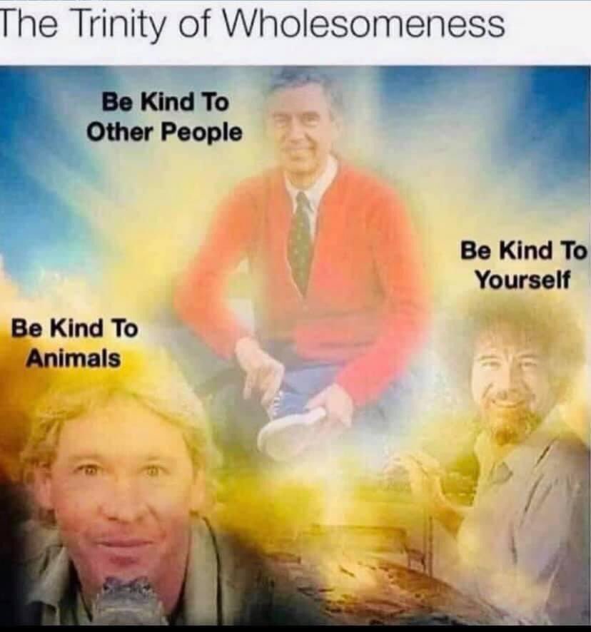 spiritualjuana's tweet photo. 🫂🐘🧠 https://t.co/rINfwc1L5U