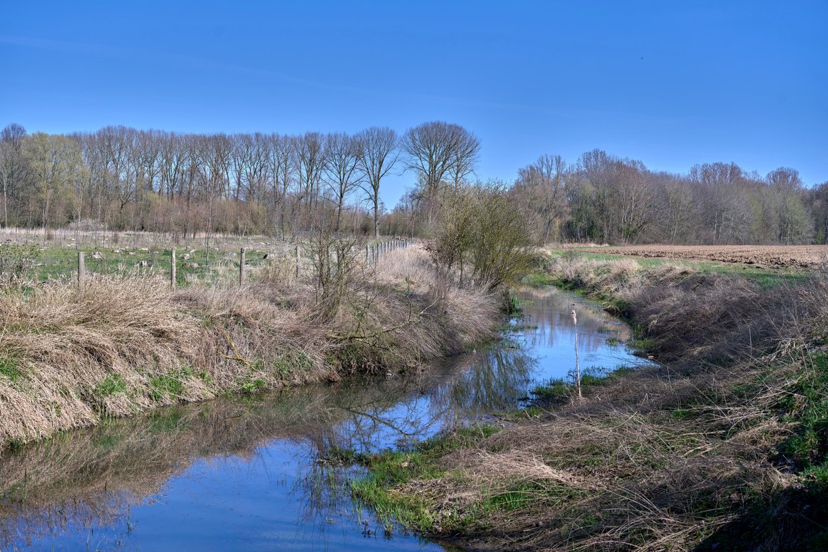 PeetermansRudi's tweet photo. 29-3-2021 Oude spoorweg L34 #Tongeren-Mal, de Oude #Jeker https://t.co/PIWT4wDdwg