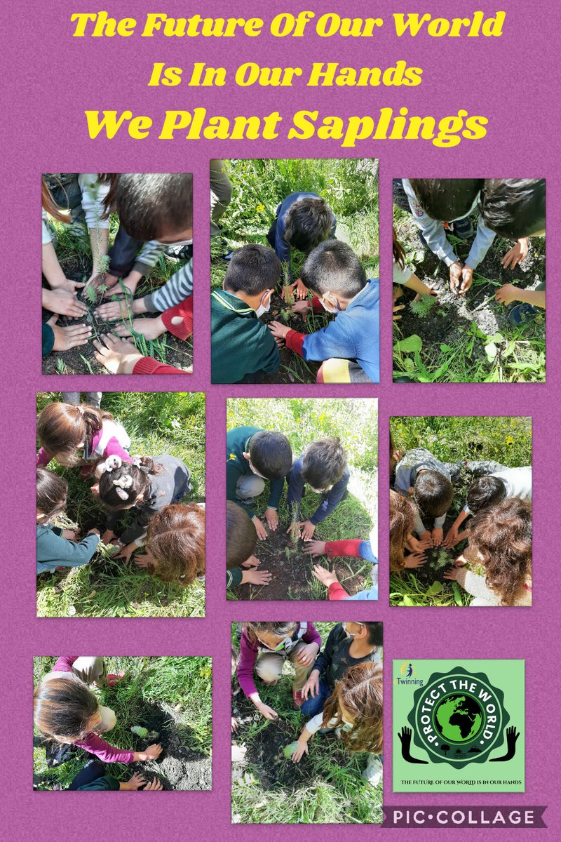 in_nurcan's tweet photo. "The Future Of Our World Is In Our Hands" eTwinning projemizin Mart ayı etkinliğini Fahrettinpaşa İlkokulu 1-A sınıfı öğrencilerim ile birlikte okul bahçemize fidan dikerek gerçekleştirdik. 
#eTwthefutureofourworld 
#eTwinningMersin 
#eTwinningTürkiye https://t.co/oZPE2LBbiL
