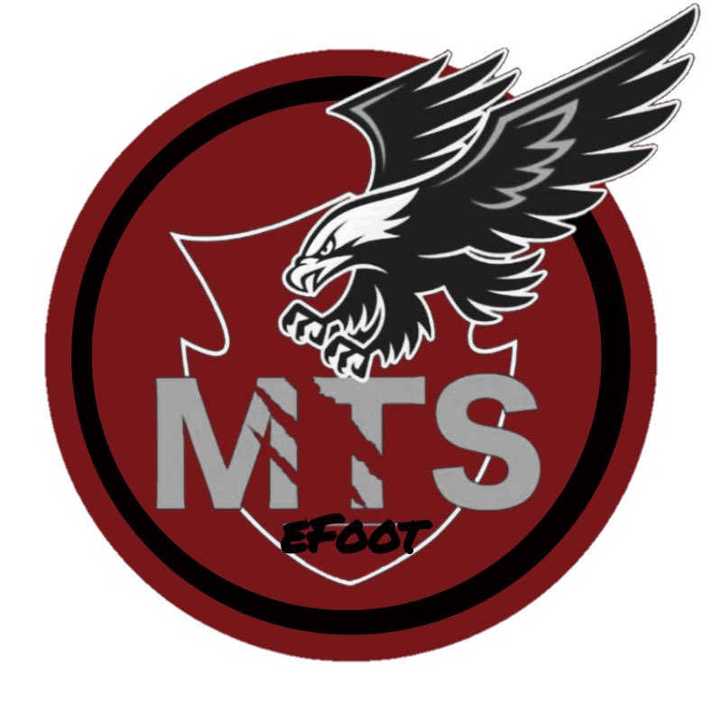 Bonjour, bonsoir,

MTS eFoot 🦅 recrute pour la saison 3.

Nous somme engagé en VPG FR 🇫🇷, VPG EU 🇪🇺

Nous recherchons donc : 
 
-🎽 GK

-🎽 DCD

-🎽 DD 

- 🎽 MC

Un minimum d’expérience sera demandé. 

Me contacter en mp, merci.