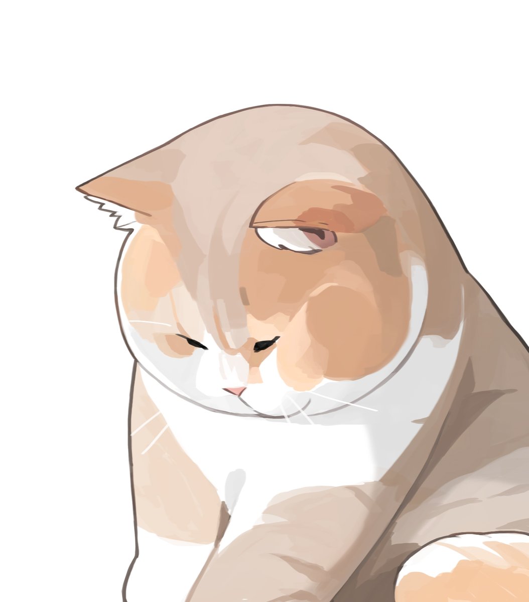 gentleeeeeeecat's tweet photo. I'm innocent. https://t.co/Ejt0WZB1Oc