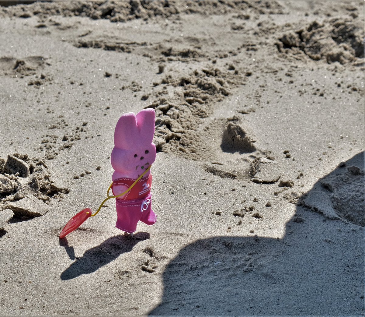 killioj's tweet photo. #hangingwithmypeeps at the beach! My favorite socially distant and safe activity! #PepsiSweepstakes #PEPSIxPEEPS @pepsi @PEEPSBrand https://t.co/QkSPjIcAoq
