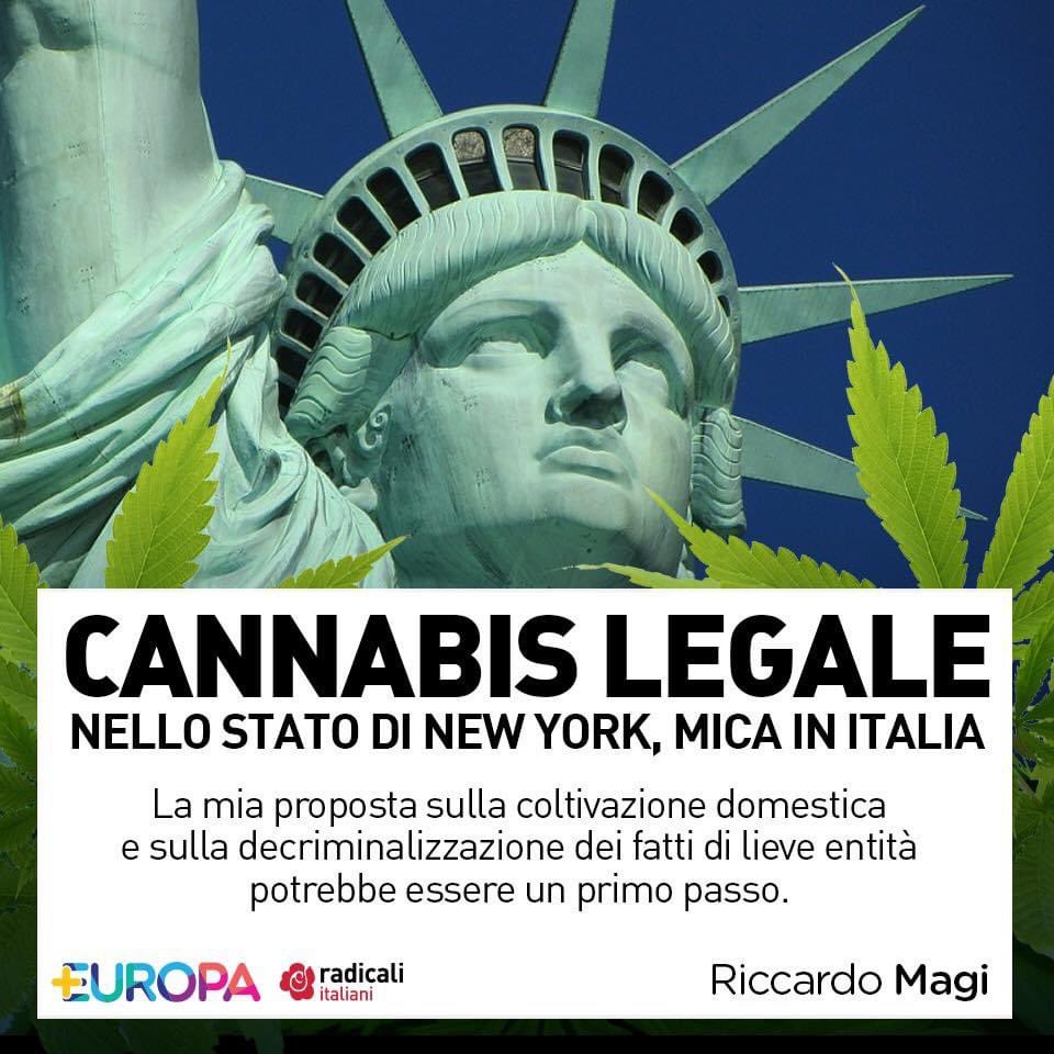 HankChi18312342's tweet photo. #Draghi @pdnetwork @Mov5Stelle @ItaliaViva @6000sardine @welikeduel #Legalizzare la #cannabis è la scelta migliore #SpiniNelFianco https://t.co/8NpUs4OQf1