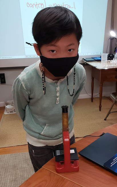 Andi_Stix's tweet photo. From the remains of a mock mummy during our study of Ancient Egypt, students examine what insects existed in the local area.  #GtecKids #enrichment #westchester #scarsdale #larchmont #eastchester #newrochelle https://t.co/IU6XAXVbUZ