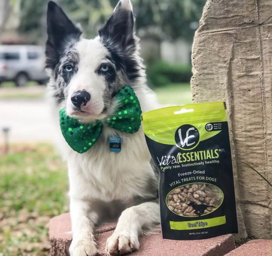 Did you know? Green tripe adds enzymes to your dogs diet. These Vital Essentials treats are super tasty and provide essential nutrients to your pup! Feed them as treats or add a few into their bowl and your dog is SURE to love their meal.