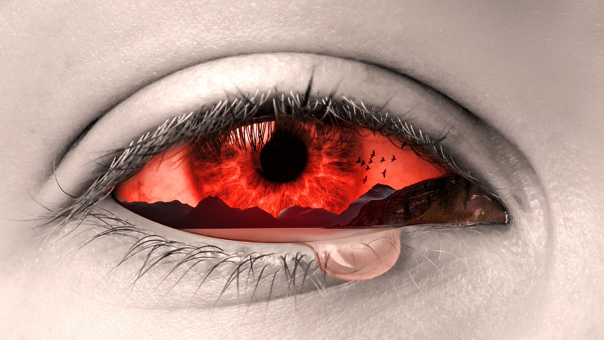 "No tears in the writer, no tears in the reader. No surprise in the writer, no surprise in the reader."

-Robert Frost

#Inspiration #writingcommunity #writer