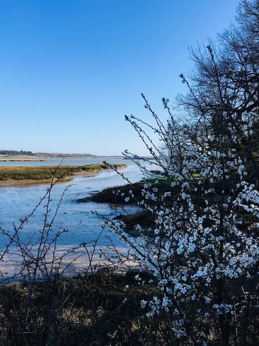 So beautiful today❤️#SpringForward