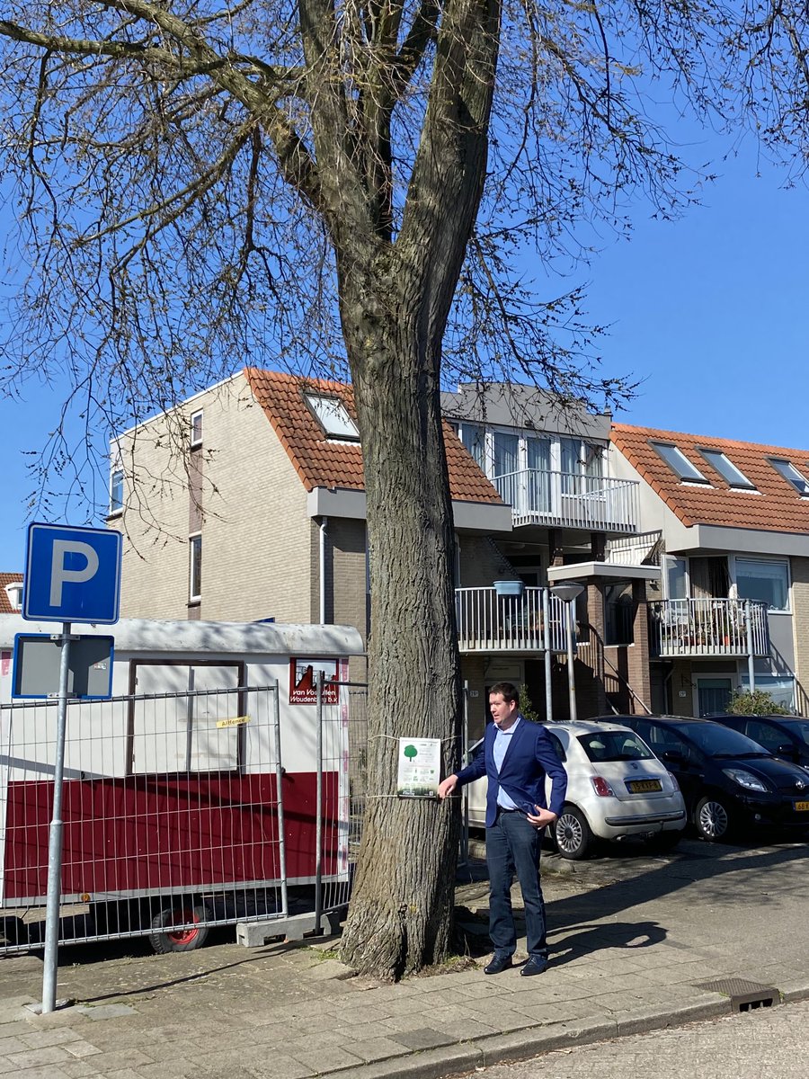 HenkWer's tweet photo. Met Simon de Jong en de wethouder 6 #Treetags opgehangen in #deZilk#Noordwijkerhout#Noordwijk#PiusflorisboomverzorgingAmsterdam https://t.co/oodzcigFP8