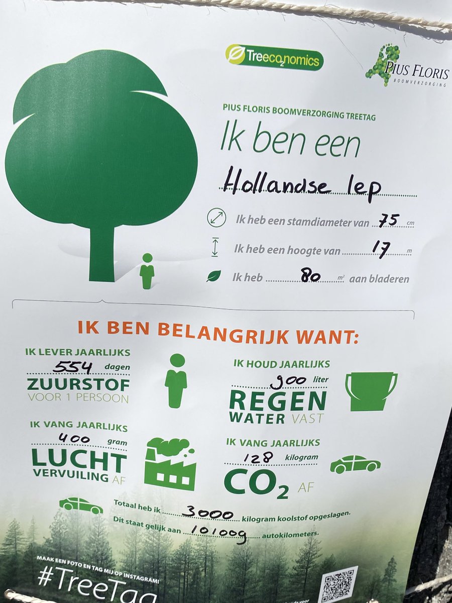 HenkWer's tweet photo. Met Simon de Jong en de wethouder 6 #Treetags opgehangen in #deZilk#Noordwijkerhout#Noordwijk#PiusflorisboomverzorgingAmsterdam https://t.co/oodzcigFP8