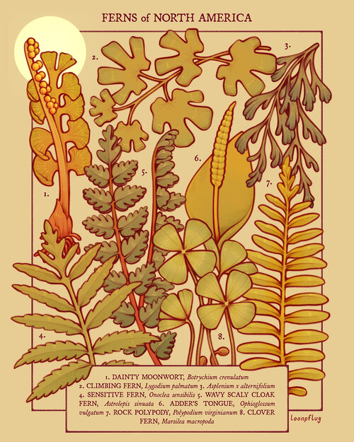 hello #VisibleWomen !! i'm lianne, an illustrator and surface designer passionate about spreading love and awareness for nature! i'm available for paid freelance and my online shop is open ☀️
?liannepflug@gmail.com
?https://t.co/x80Qt5RR48
?https://t.co/djrZRiZozt
