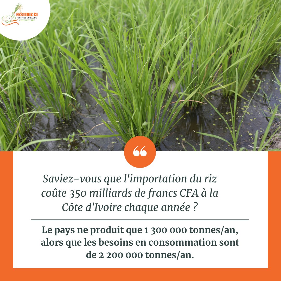 Festival du Riz de Côte d'Ivoire (@FestivalRiz) / Posts / X