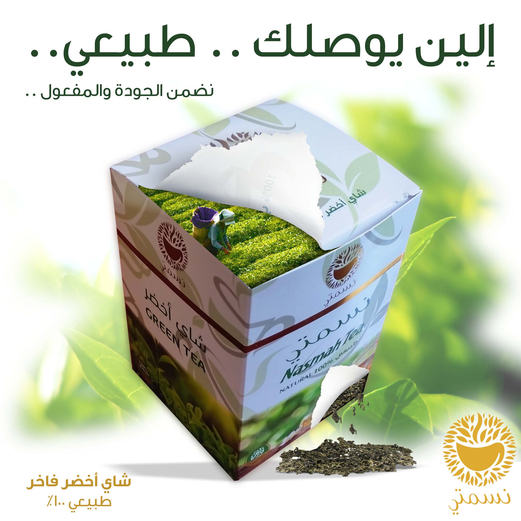نسمتي بكم شاي تجارب شاي نسمتي بكم شاي شاي نسمتي