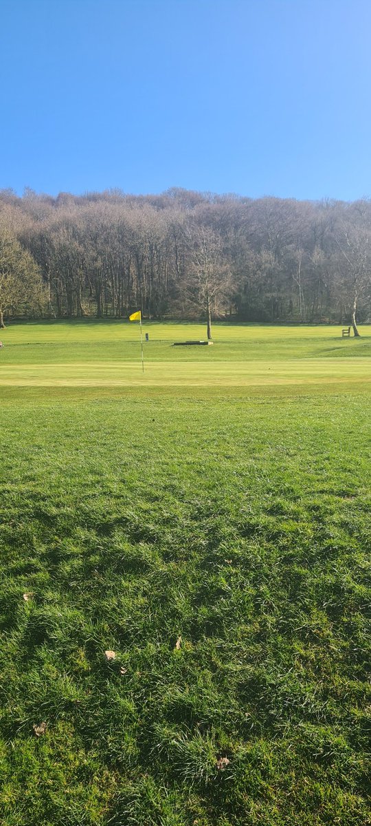 Beauchief Golf Club tweet media