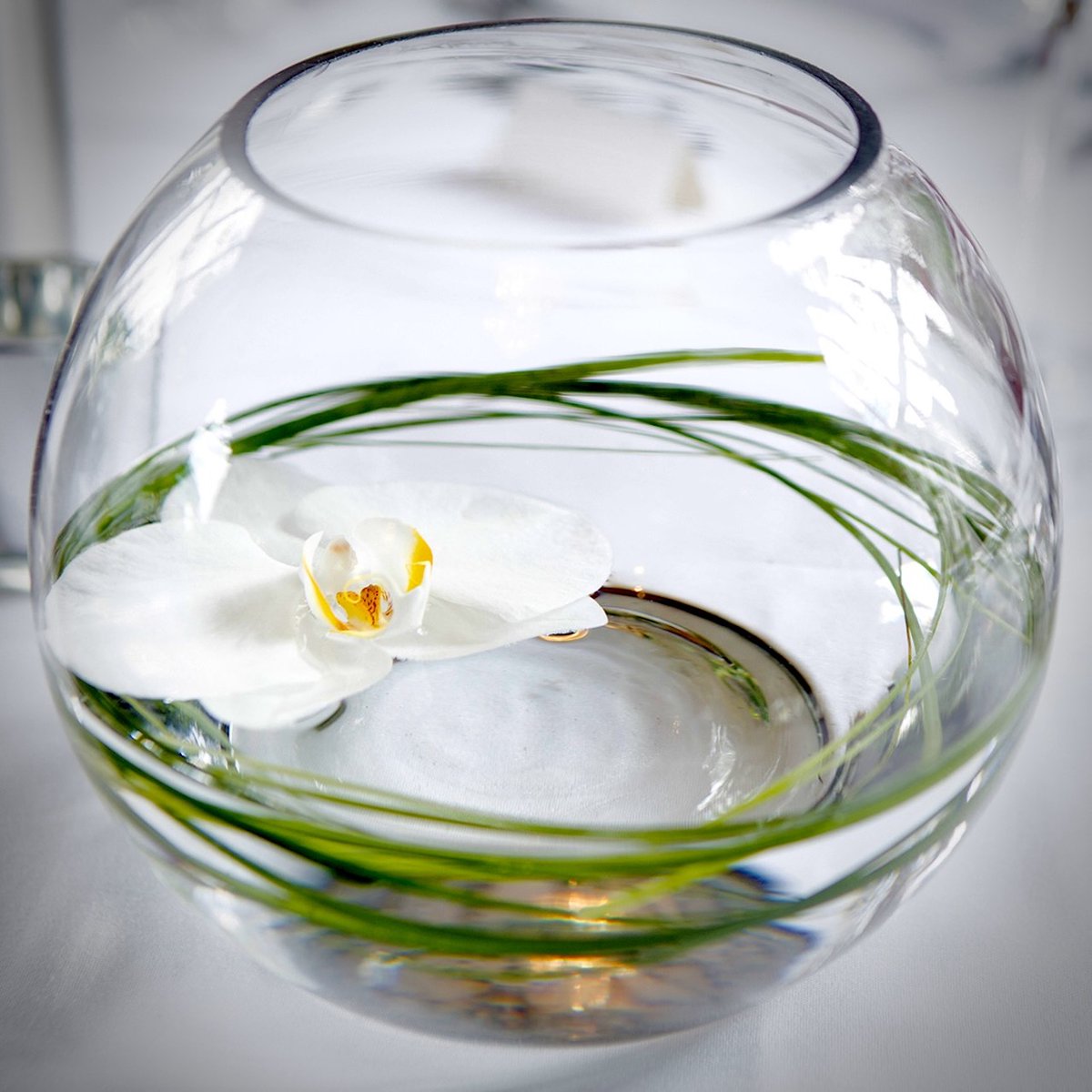 MaplesFlowers's tweet photo. We cater for all types of weddings, here's a great example of simplicity 💐
#TableCentre #WeddingFlowers #WeddingFlorist #MaplesFlowers #HemelHempstead #Hertfordshire #WeddingPlanning https://t.co/2o0BjKHgNM