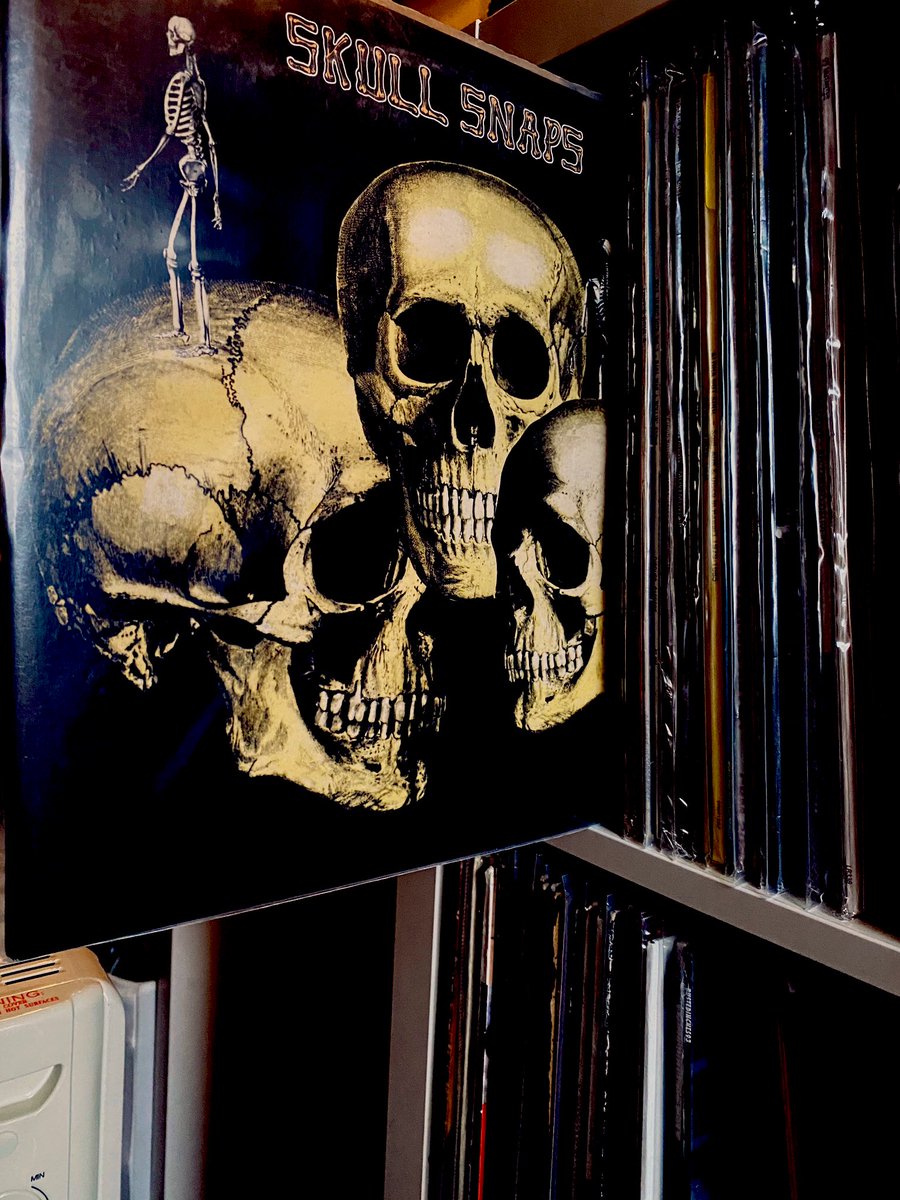SouthsideSuperB's tweet photo. Perfect listening pleasure as the sun finally puts its hat and comes out to play #skullsnaps #vinylrecords  Every song on this album is joy... #allkillernofiller https://t.co/wAgnDFni0l