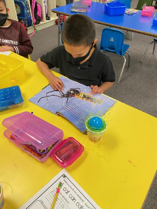 APSSunsetES's tweet photo. Mrs. Young's class reading to their "peeps"!! https://t.co/o0q0lh0AeI