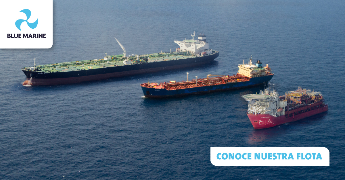 Blue Marine de Grupo Industrial Durandco tweet media