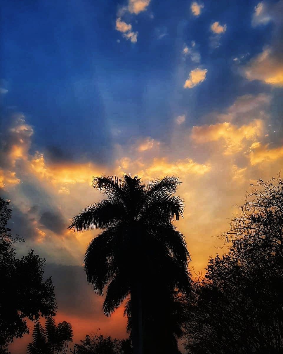 TheRohitJagtap's tweet photo. SUNSET
/ The sunsets time shot this colourful scene the tree looking dark.
(Created with snapseed)
#Punecamera #yourshotphotographer
#createexplore #marvelshots #beautifuldestinations #awesomeearth #discoverearth #natgeotravel #globalcapture #earthcapture #natgeoyourshot https://t.co/JDudA192DW