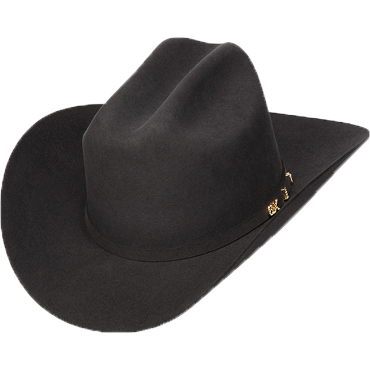 caballobronco tweet media