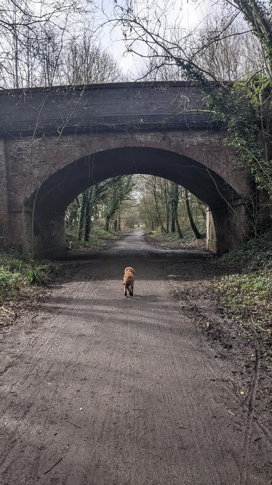 L2MUltra's tweet photo. Great pictures Sally 👍🙌👍 ... a small taste of what’s to come in this Friday’s M2L Ultra!

“Did an out and back along the Trans Pennine Trail today (Altrincham-Lymm). Here's a little taster for those doing the M2L next weekend 😊”

#m2lultra #l2multra #ultramarathon #ultrarun https://t.co/kuhRmwrIrJ